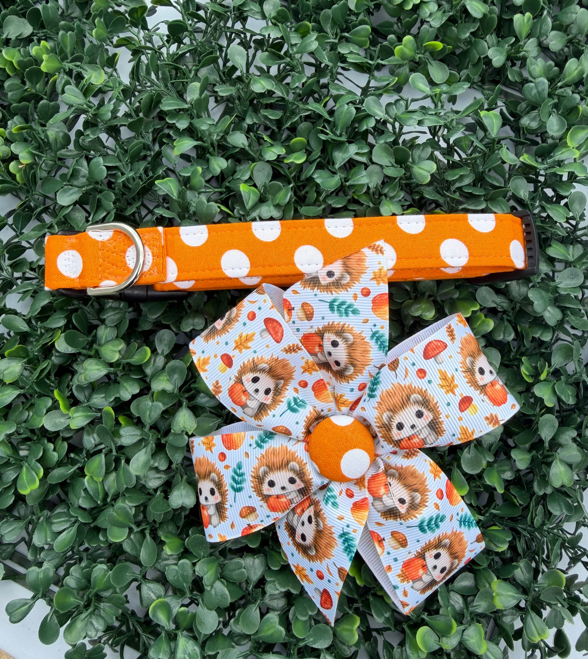 Pumpkin Spice Polka Dot Dog Collar