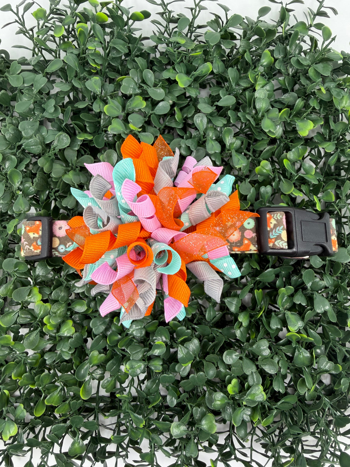 Fox in the Wild Dog or Cat Collar