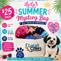 Summer Mystery Bag