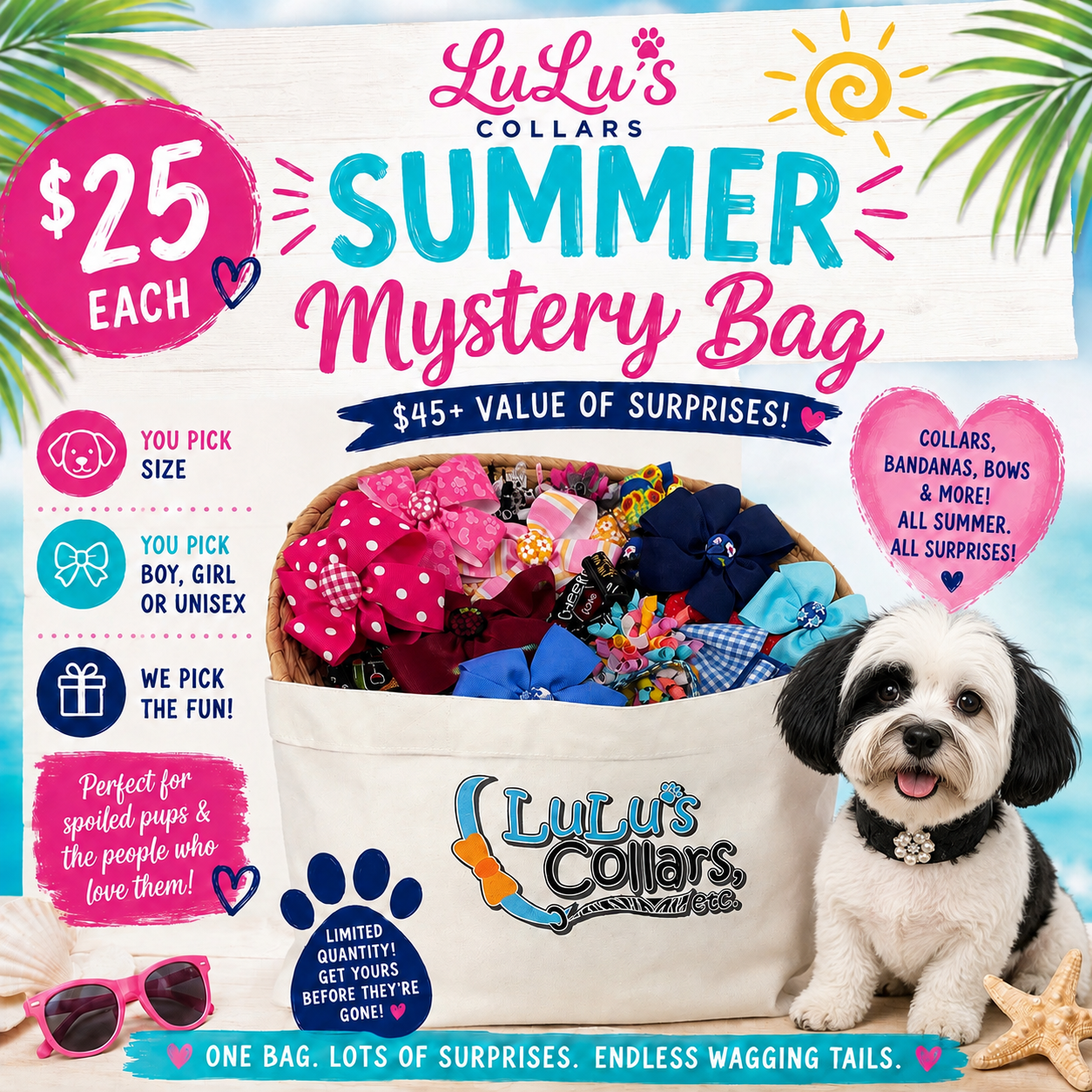 Summer Mystery Bag