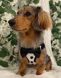 Dapper Gentleman Custom Formal Dog Harness