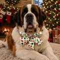 Peppermint Pup Christmas Dog Collar