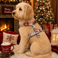Christmas Morning Plaid Adjustable Dog Harness