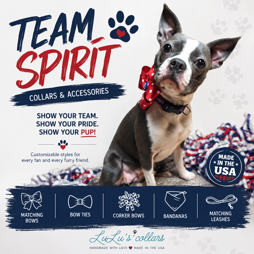 Team Spirit Custom Dog Collar or Harness – Choose Your Team & Style