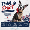 Team Spirit Custom Dog Collar or Harness – Choose Your Team & Style