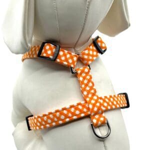 Orange Check- "H" Style Harness and white polka dot dog harness.