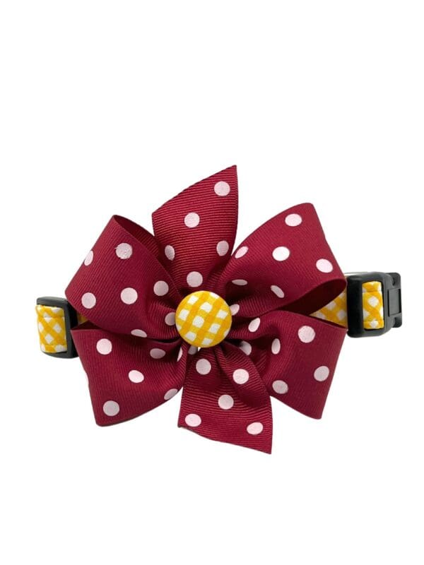 Maroon and Yellow Gold Check Collar w/ Garnet Polka Dot Bow.