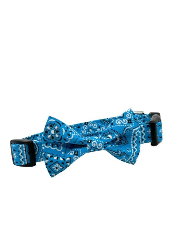 A turquoise or navy bandana dog collar with a black buckle.