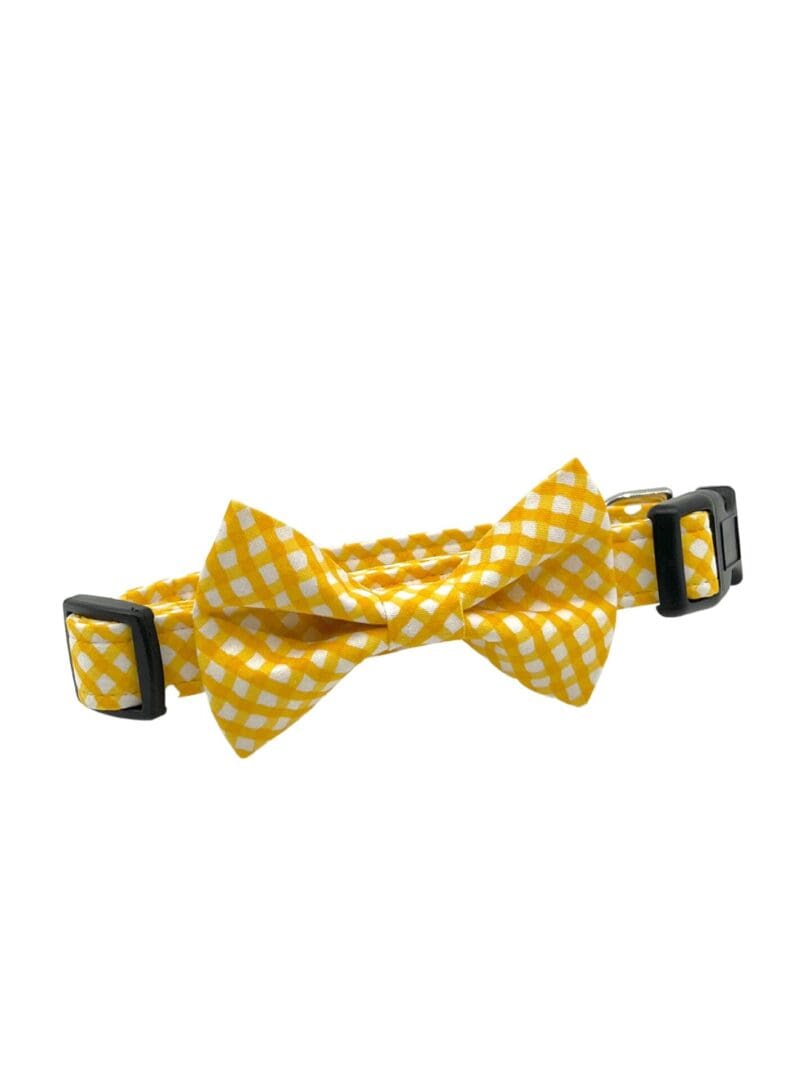 Yellow Gold Check Collar with Bow Tie dog collar.