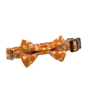 Orange Fall Leaves Collar With Bow Tie