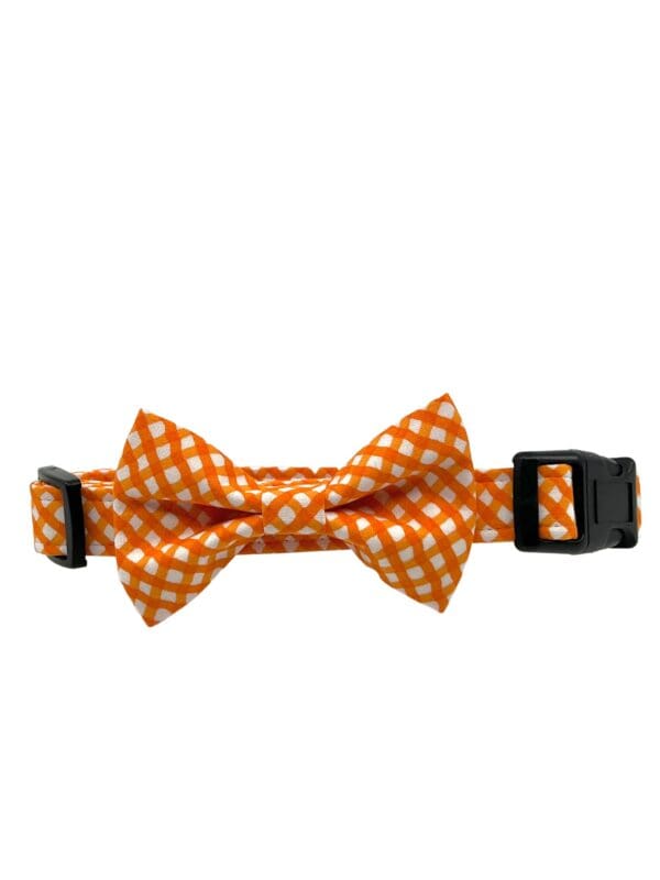 Orange Check Collar With Bow Tie