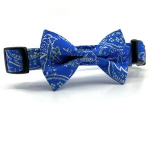 Blue Paisley Collar With Bow Tie