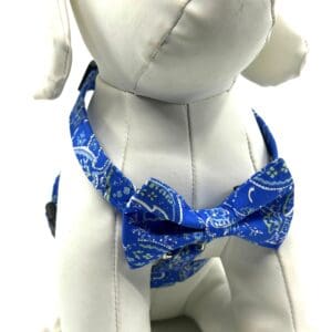 Blue Paisley Style Harness Bow Tie