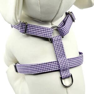 A stuffed teddy bear wearing a purple and white gingham harness.