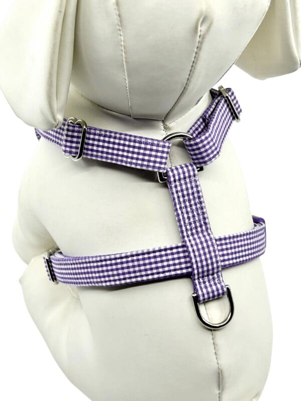 A stuffed teddy bear wearing a purple and white gingham harness.