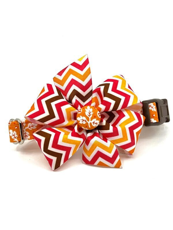 Orange Fall Leaves Collar Bow