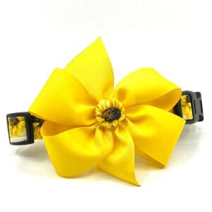 A dog collar with a yellow flower on it.