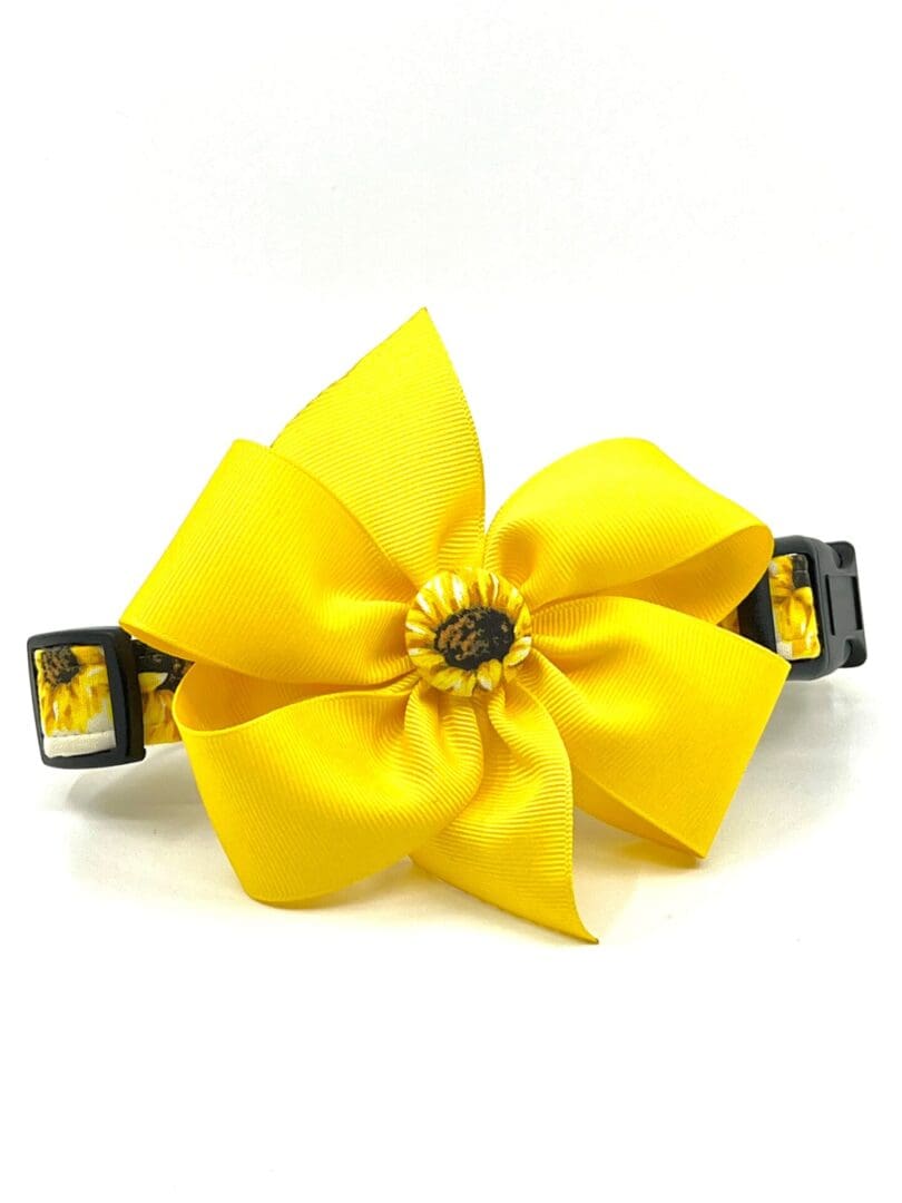 A dog collar with a yellow flower on it.