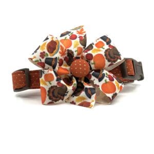 An orange and brown dog collar with a flower on it.