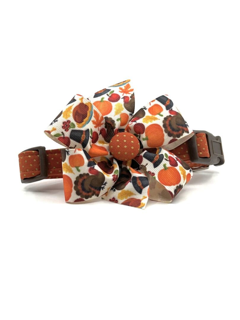 An orange and brown dog collar with a flower on it.