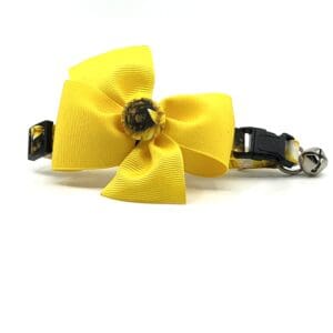 A yellow cat collar with a black bow.