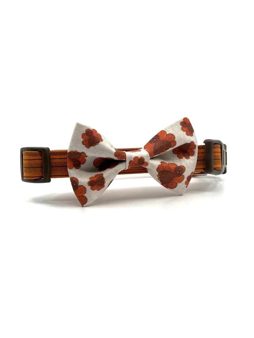 A bow tie with an orange flower on it.