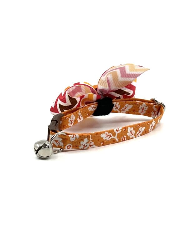 An orange and white cat collar with a bow.