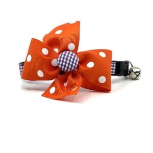 An orange and white polka dot cat collar with a bell.