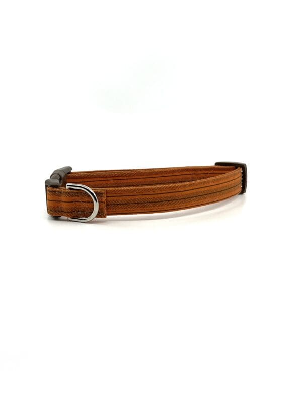 A brown leather dog collar on a white background.