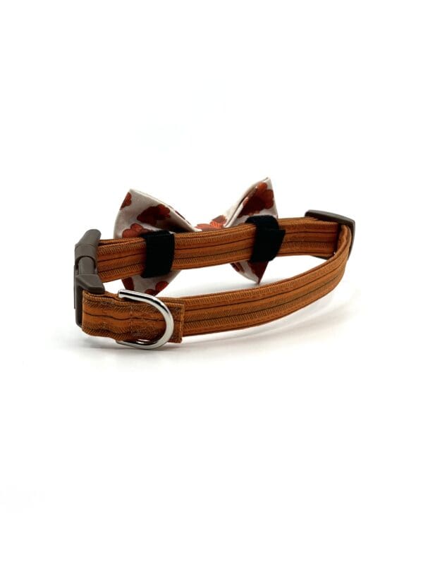 A brown and white dog collar with a buckle.