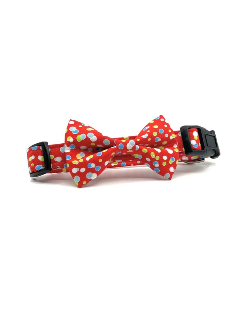 Red polka dot bow tie dog collar.