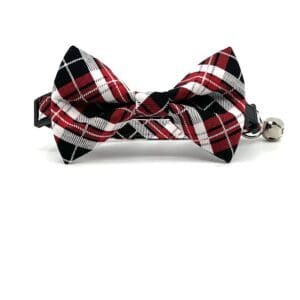 A black and red plaid bow tie on a white background.