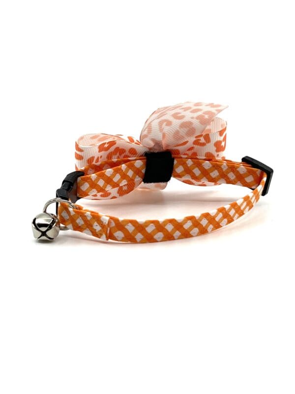 An orange and white cat collar with a bow.