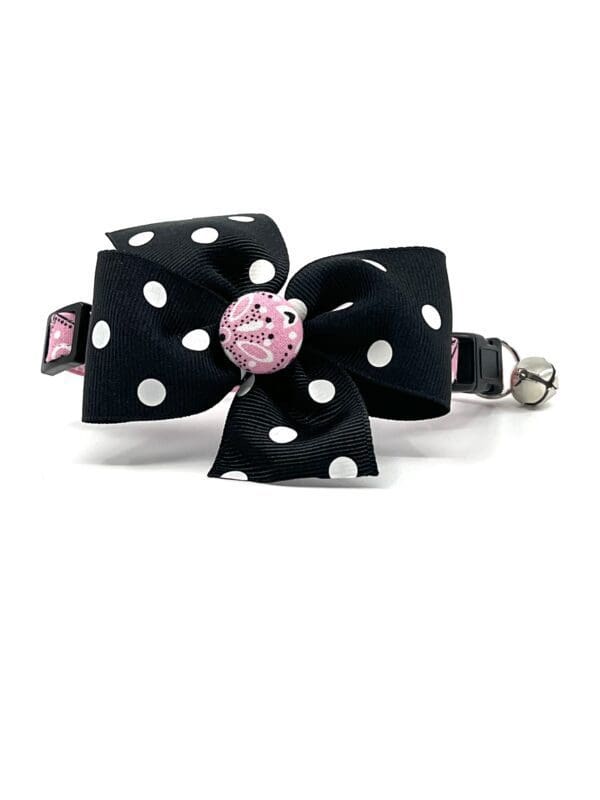 A black and pink polka dot cat collar with a pink bow.