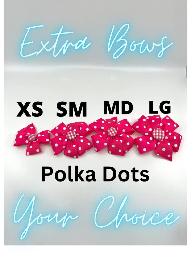 Extra Bows Your Choice Polka Dot Bows