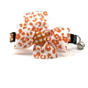 An orange and white cat collar with a bow.