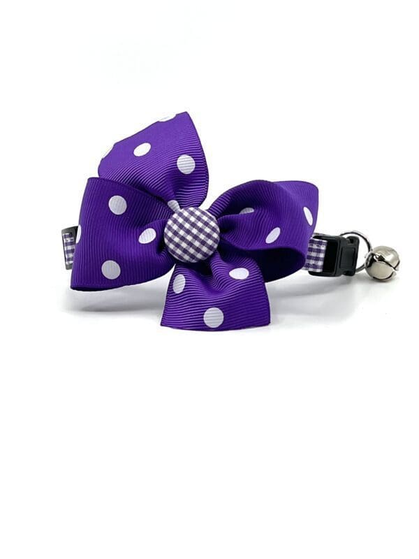 A purple and white polka dot cat collar with a bell.