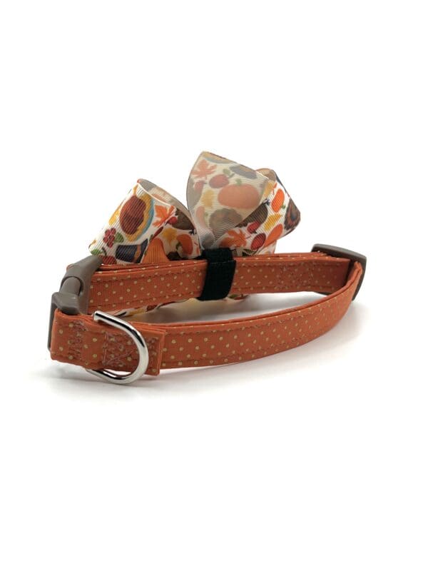 A brown leather dog collar with a polka dot pattern.