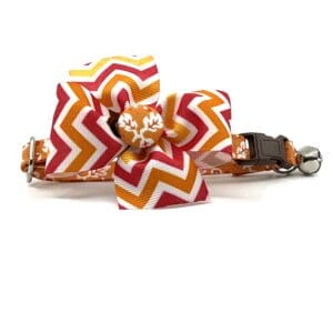 An orange and white chevron dog collar with a bow.