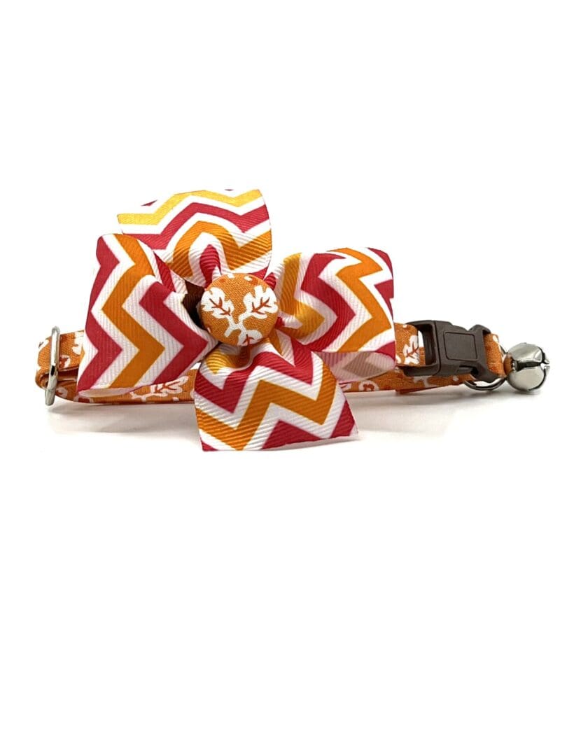 An orange and white chevron dog collar with a bow.
