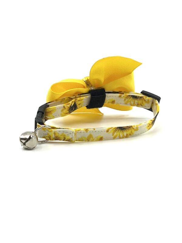 A yellow bow on a cat collar.