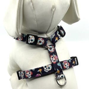 Day Of The Dead Style Harness