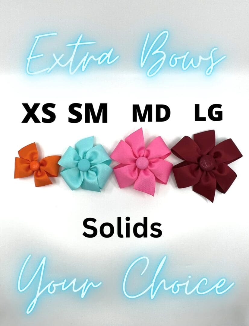 Extra Bows Your Choice Solid Bows