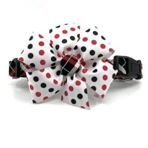 A red and black plaid collar with a bow.