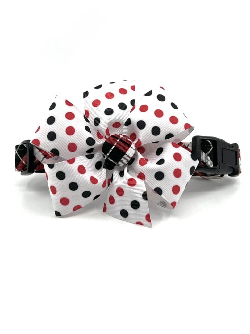 A red and black plaid collar with a bow.
