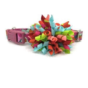 A colorful dog collar with a flower on it.