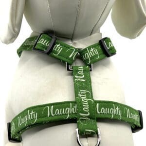 A dog wearing a harness with the words " naughty " and " naughty " on it.
