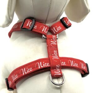 A red harness with the word nice written on it.