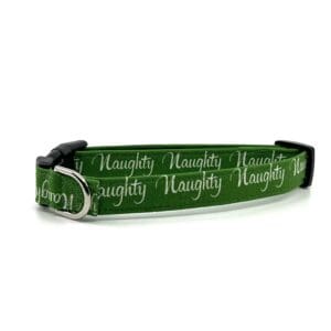 A green dog collar with the word " naughty " written on it.
