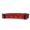 A red collar with the word nice written on it.